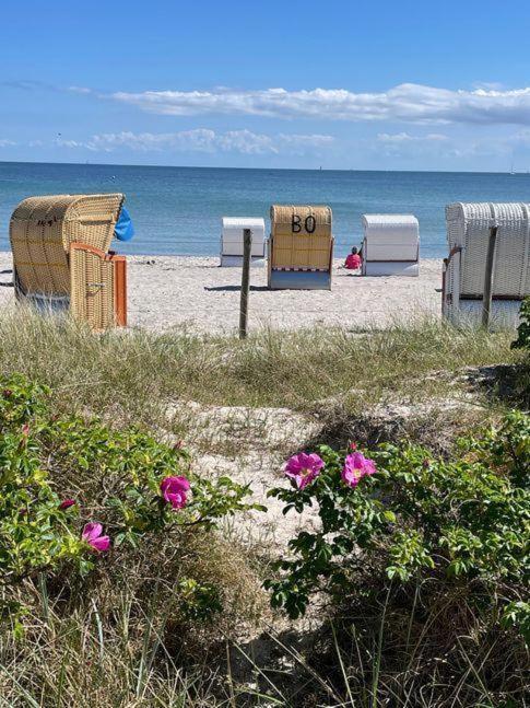 Fewo-Mit-Terasse-U-Garten-Am-Golfplatz Wulfen auf Fehmarn Dış mekan fotoğraf