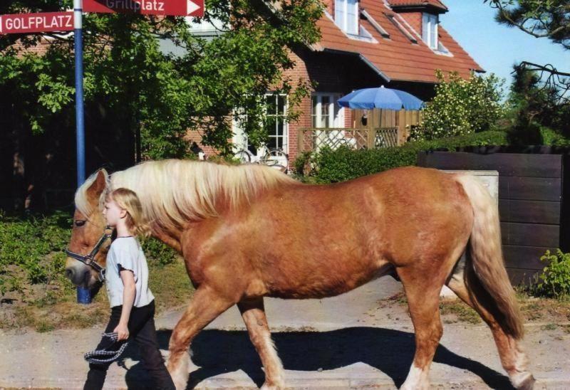 Fewo-Mit-Terasse-U-Garten-Am-Golfplatz Wulfen auf Fehmarn Dış mekan fotoğraf