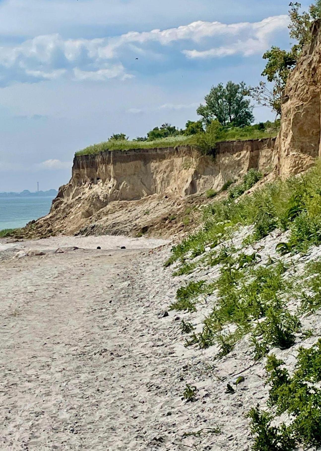 Fewo-Mit-Terasse-U-Garten-Am-Golfplatz Wulfen auf Fehmarn Dış mekan fotoğraf